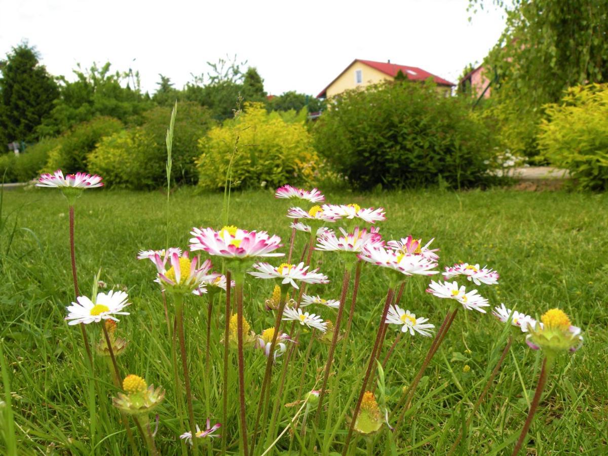 Domki Zabi Staw Mikołajki Bagian luar foto