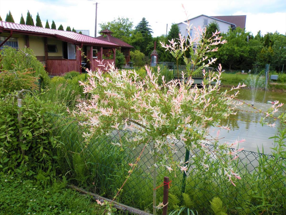 Domki Zabi Staw Mikołajki Bagian luar foto